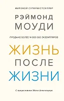 Жизнь после жизни. Исследование феномена продолжения жизни после смерти тела