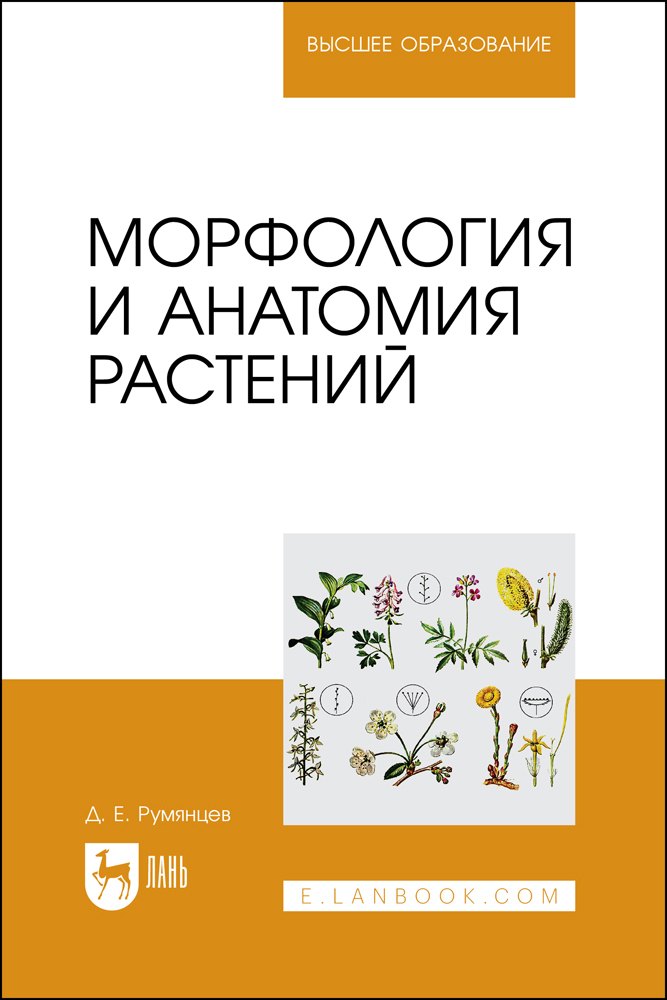 

Морфология и анатомия растений. Учебное пособие