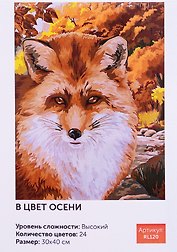 Картина по номерам В цвет осени 30*40 RL120