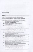 Правовые и социальные аспекты обеспечения безопасности несовершеннолетних в Российской Федерации. Монография - 1