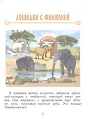 Николай Пржевальский - 2
