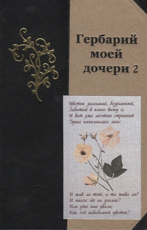 

Гербарий моей дочери 2