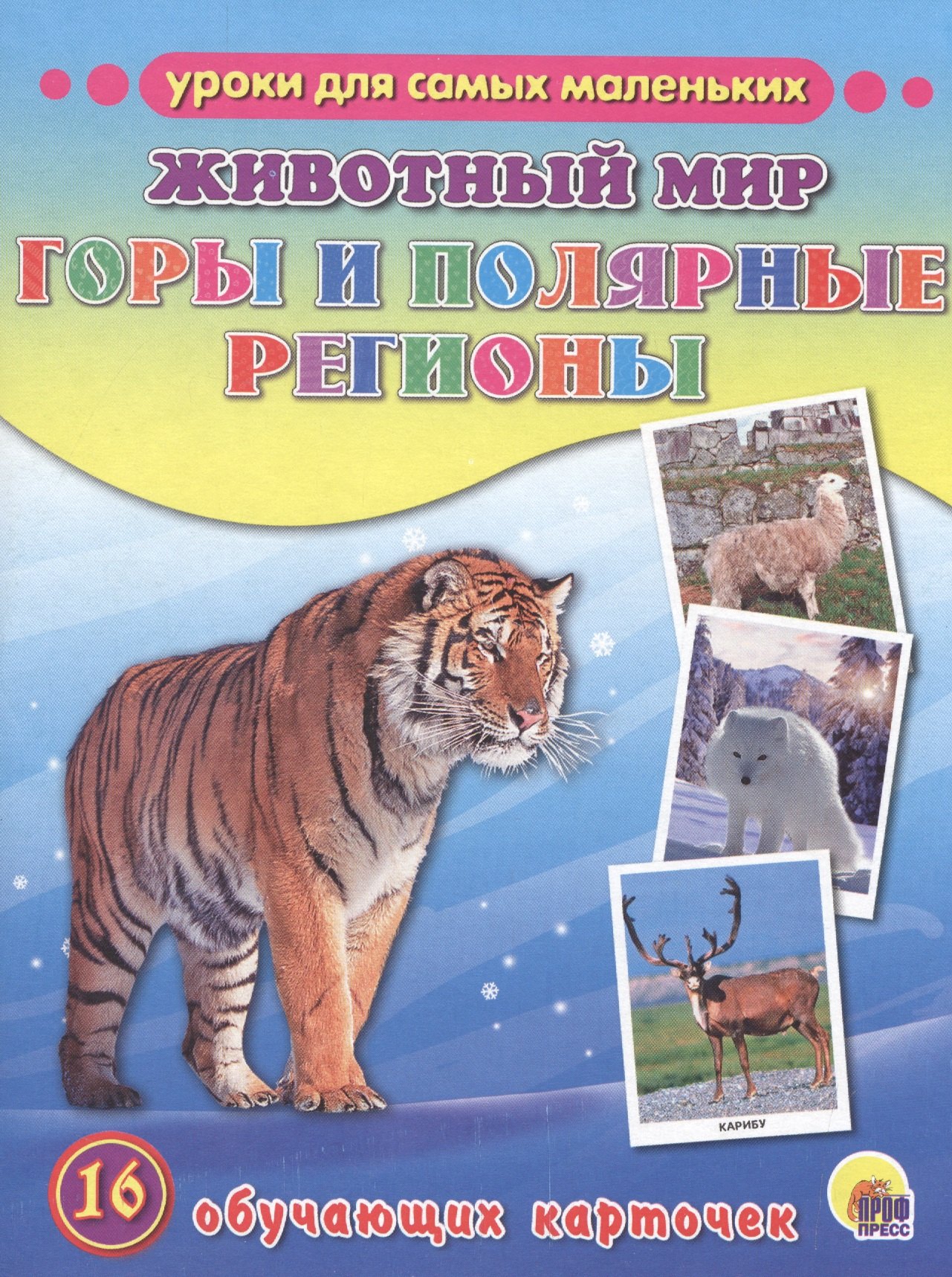 

Животный мир. Горы и полярные регионы