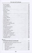 На земле под небесами. Избранное - 2