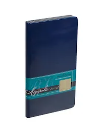 Еженедельник недат. А6 80л "MEGAPOLIS VELVET" темно-синий, иск.кожа, тонир.блок, золотой обрез, ляссе, Bruno Visconti