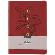 Ежедневник недатированный «Olive» А5, бордовый, 160 листов, экокожа, InFolio