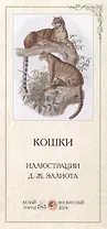 Кошки. Иллюстрации Д.-Ж. Эллиота