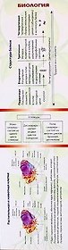 Закладка. Биология