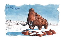 Открытка Магадан акварель Мамонт