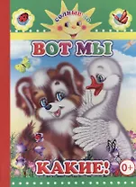 Вот мы какие!