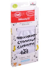 Дизайнерские носки города Новосибирск Столица Сибири (В189-2-19)
