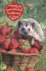 Книга для записей «Клубничное настроение», А5, Эксмо