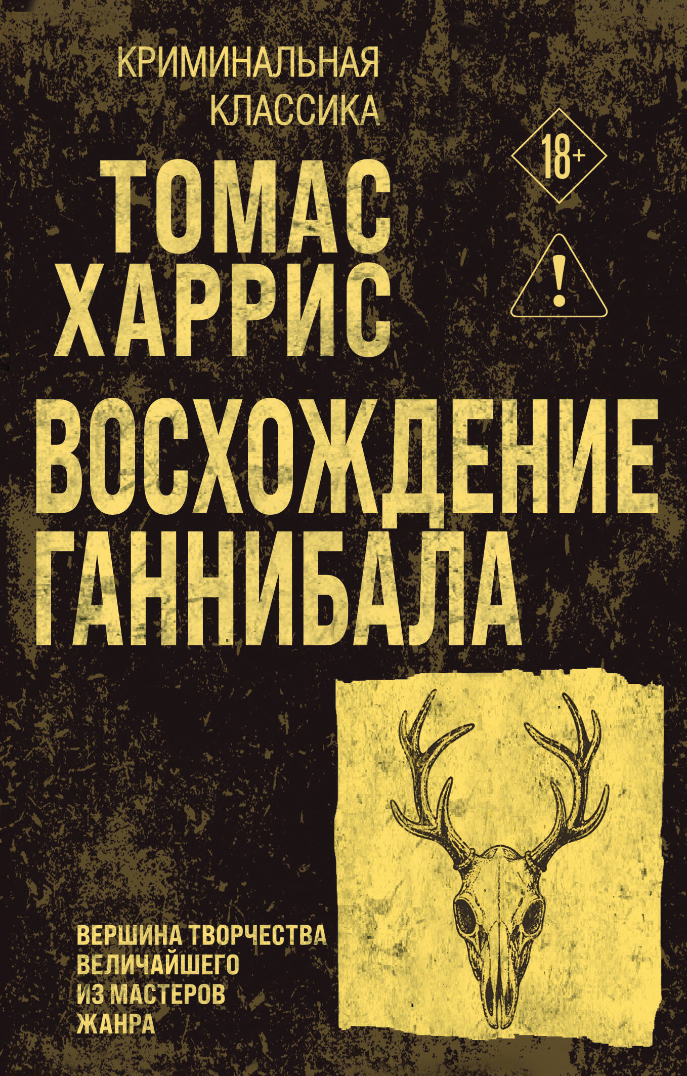 Обложка книги «Восхождение Ганнибала»