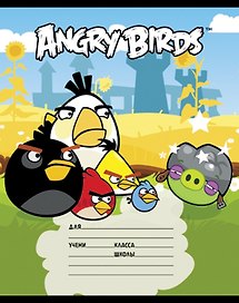 Тетрадь в клетку Hatber «Angry birds» в ассортименте, 18 листов