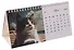 Календарь 2026г 210*120 "Котики" настольный, домик - 2