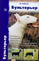 Бультерьер
