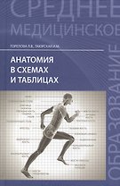 Анатомия в схемах и таблицах:учеб.пособие