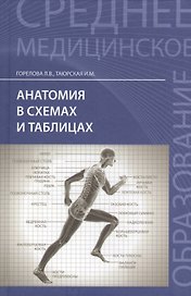 Анатомия в схемах и таблицах:учеб.пособие