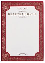 Благодарность А4, тисн.зол.фольгой