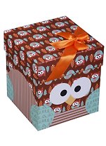 Коробка подарочная "Совы.Owls", 10*10*11см