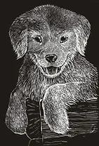 Игра Царапка мал. "Дружок"