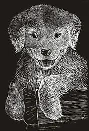 Игра Царапка мал. "Дружок"