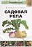 Садовая репа. - 0