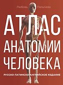 Атлас анатомии человека. Русско-латинско-английское издание - 0