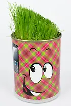 Сувенир антистресс "Смайл с телефоном" набор для выращивания (412118)