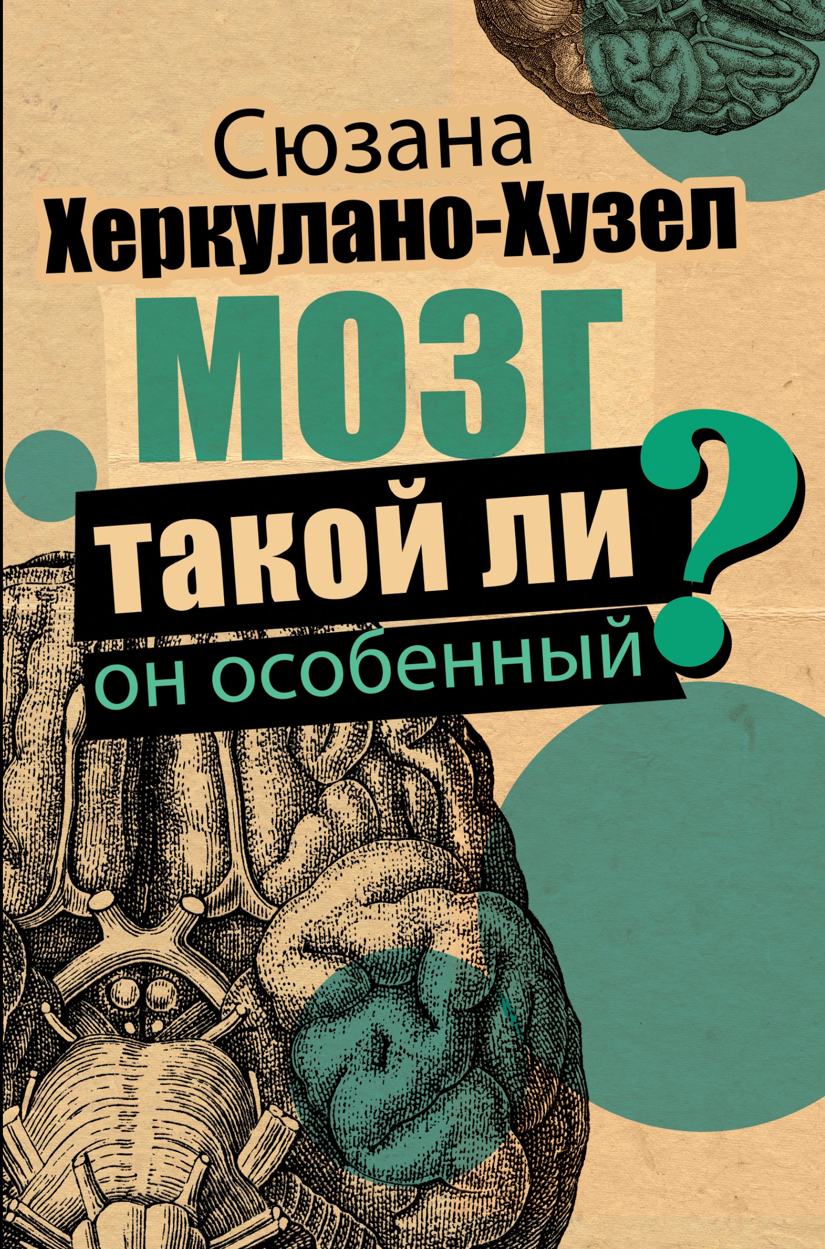 

Мозг. Такой ли он особенный