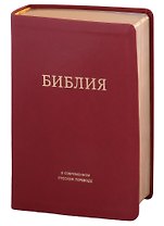 Библия в современном русском переводе