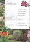 Современный цветник.Миксбордер всегда в моде - 1