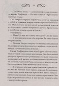 Мужчина ее мечты - 2