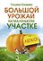 Большой урожай на маленьком участке. Легко! - 0