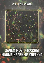 Зачем мозгу нужны новые клетки?