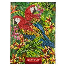Записная книжка «Notebook», Феникс+
