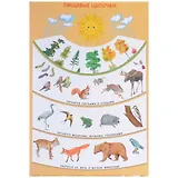 Пищевые цепочки 50 x 69