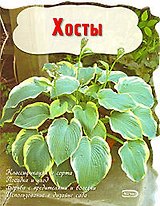 Хосты