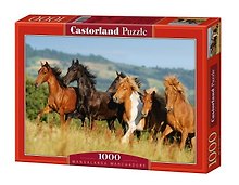 ЧГ:2260207 Пазл 1000 С-101993 Лошади (Castorland)