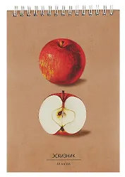 Скетчбук А5 40л "Для эскизов 5" крафт-бумага, 80 г/м2, евроспираль