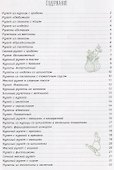 Аппетитные рулеты. Мясо, рыба, овощи - 1