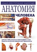 Анатомия человека - 0
