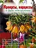 Крокусы, нарциссы и другие мелколуковичные цветы в вашем саду - 0