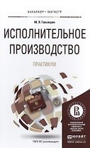 Исполнительное производство. практикум. учебное пособие для бакалавриата и магистратуры