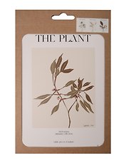 Набор постеров 13*18 "The Plant", 3 штуки