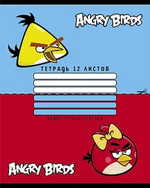 Тетрадь в клетку Hatber «Angry birds» в ассортименте, 12 листов