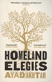 Homeland Elegies