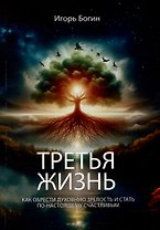 Третья жизнь. Как обрести духовную зрелость и стать по-настоящему счастливым