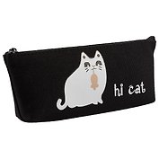 Пенал на молнии «Hi, cat», 20 х 8 см