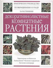 Декоративнолистные комнатные растения